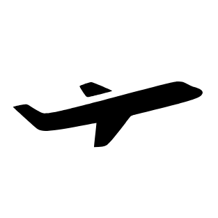 Plane Icon